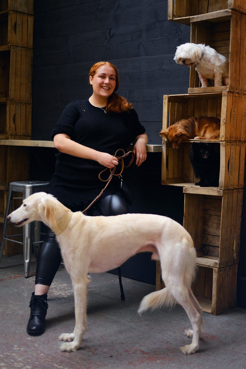 City Dog Expert Dog Lifestyle Expert For The Urban Canine