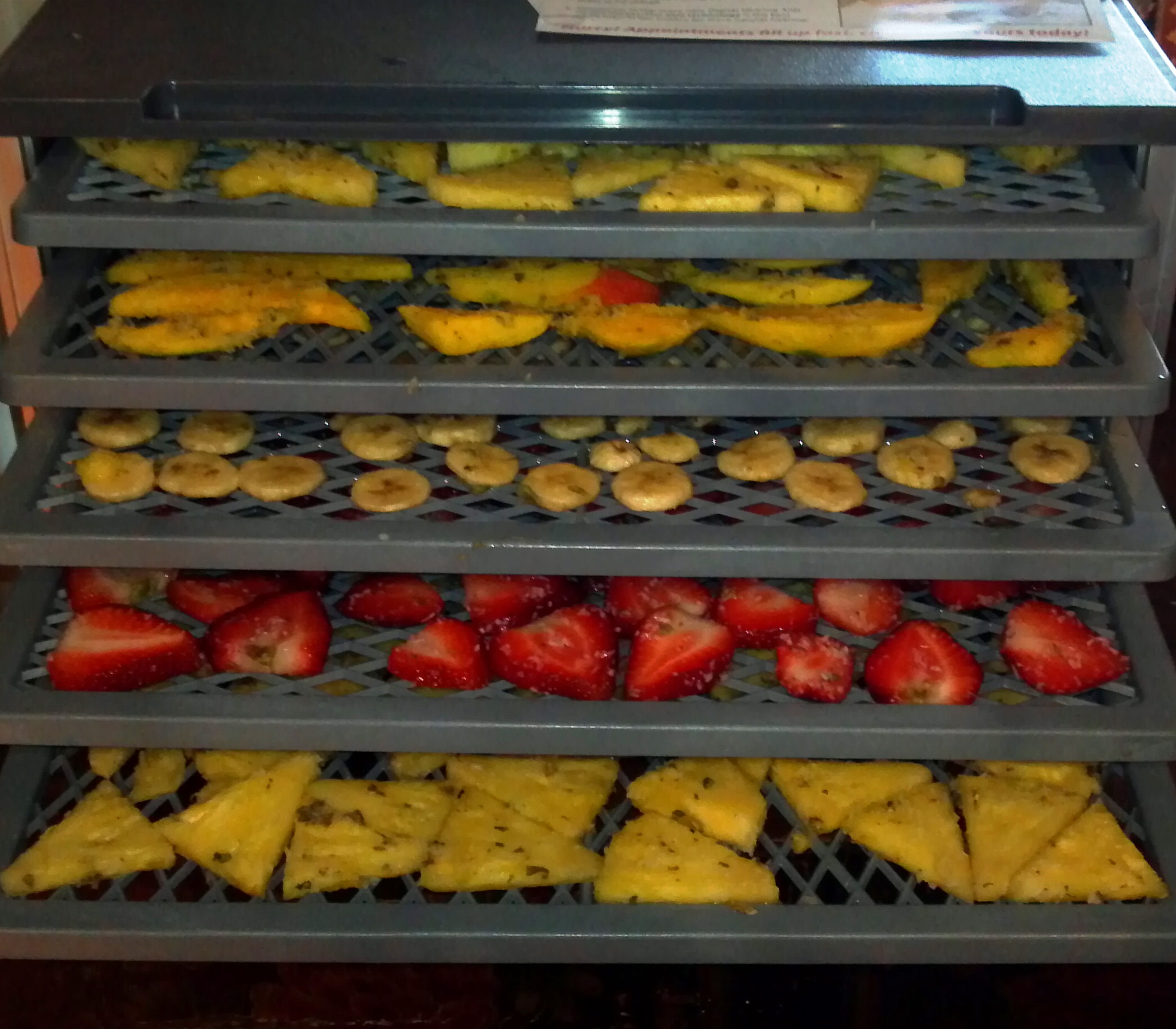 Homemade Tropical Dried Fruit & Fruit Leather Recipes City Farming