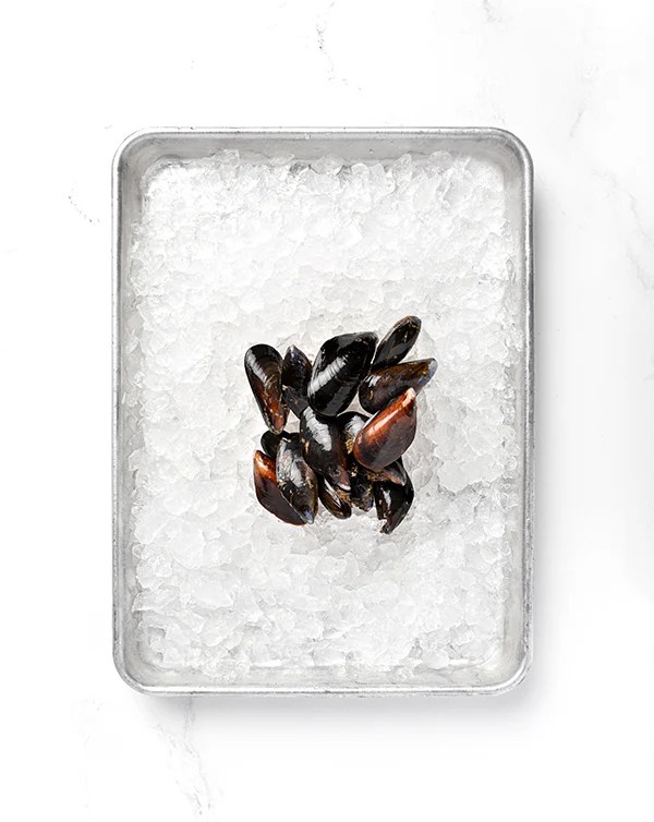 Local Mussels City Fish