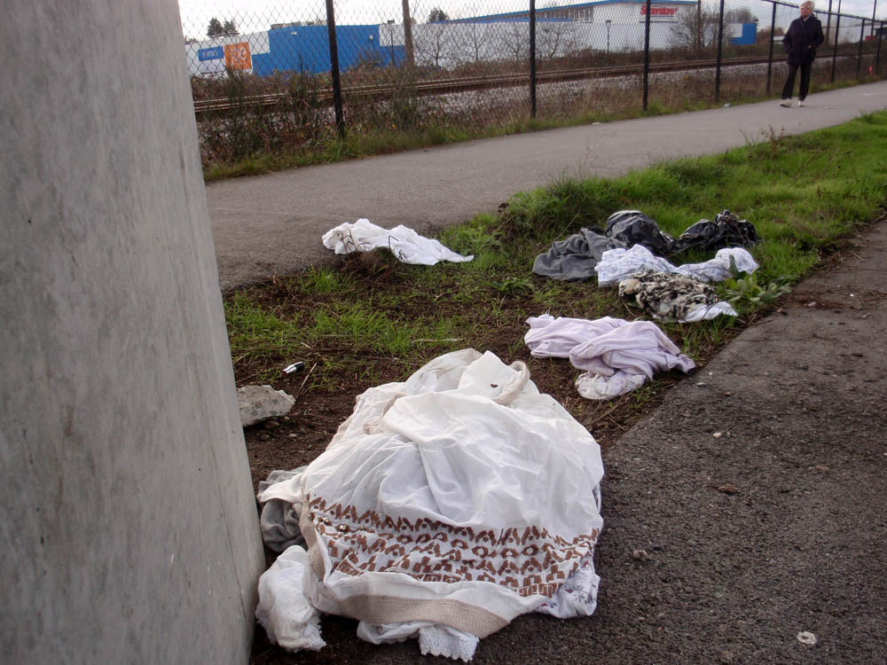 Central Valley “Junkway”? Or “Greenway”? Should the City clean it up in