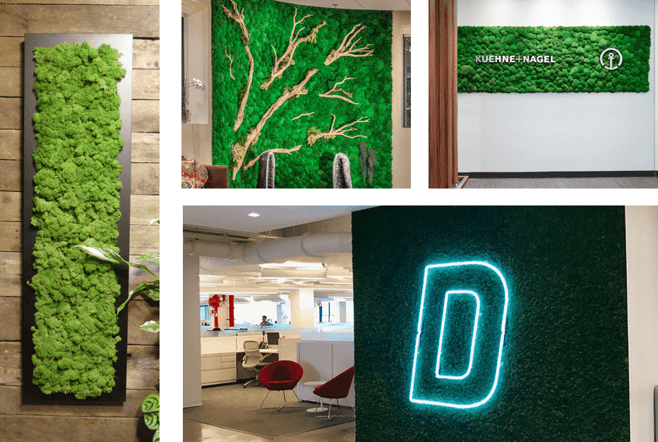 Moss Walls CityLeaf, Inc.