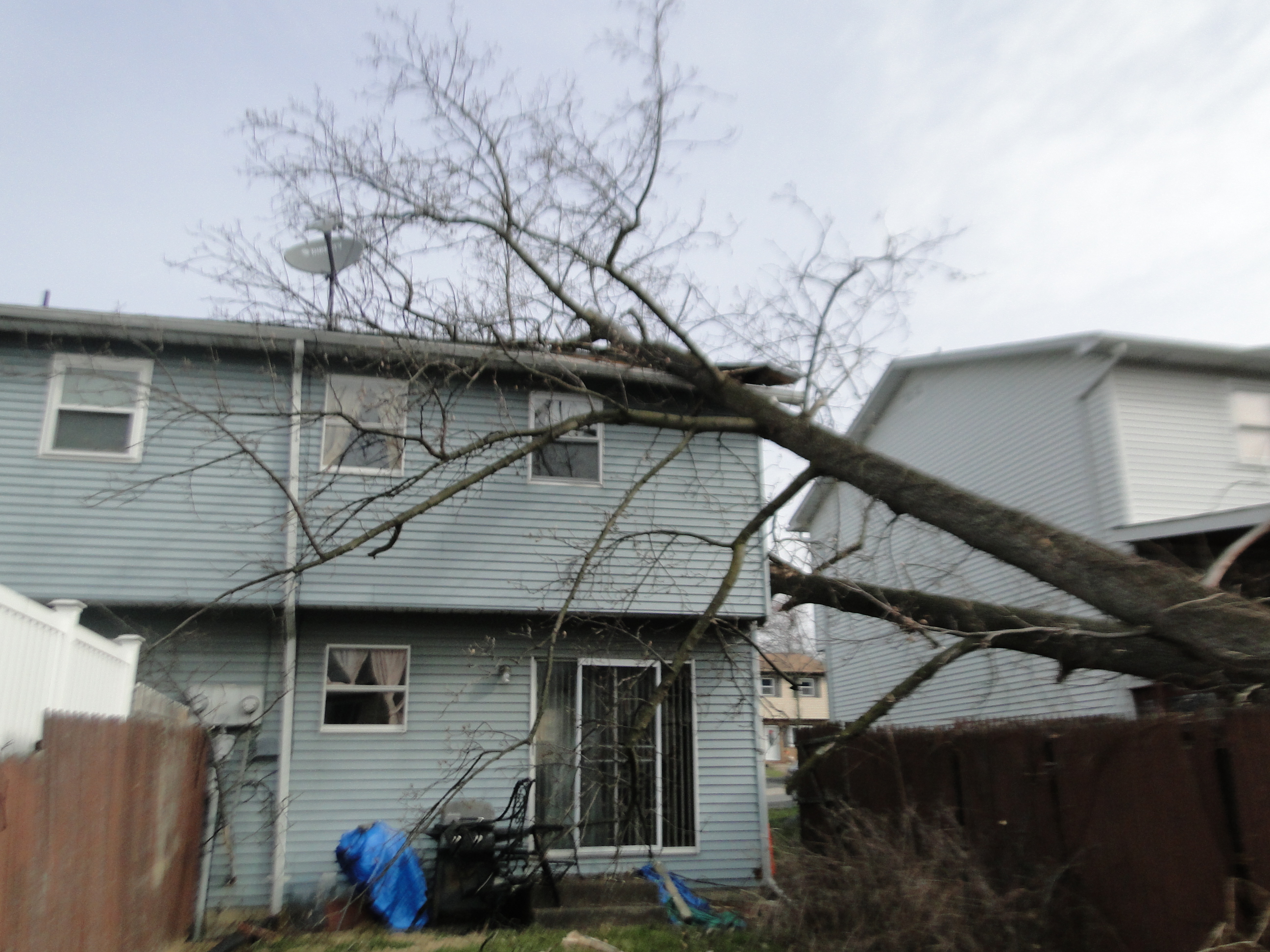 Storm Damage Tree Falls on House Allentown, PA Cityline Construction