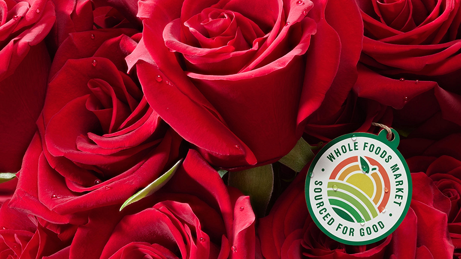 2 Dozen Roses for 24.99 at Whole Foods Market CityLine DFW