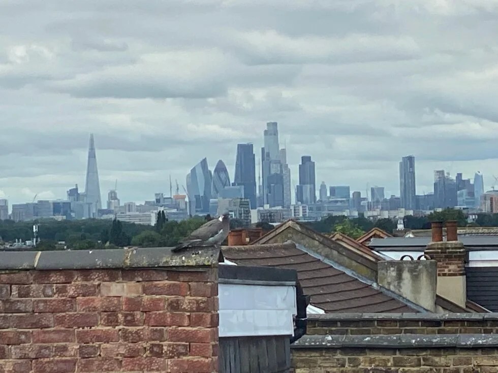Loft Conversion near Leytonstone