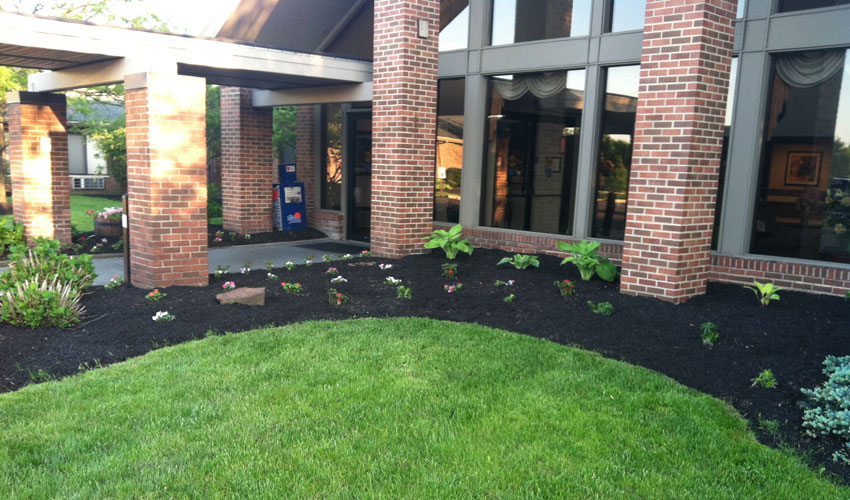 Flower Bed & Lawn Weeding City Mowing