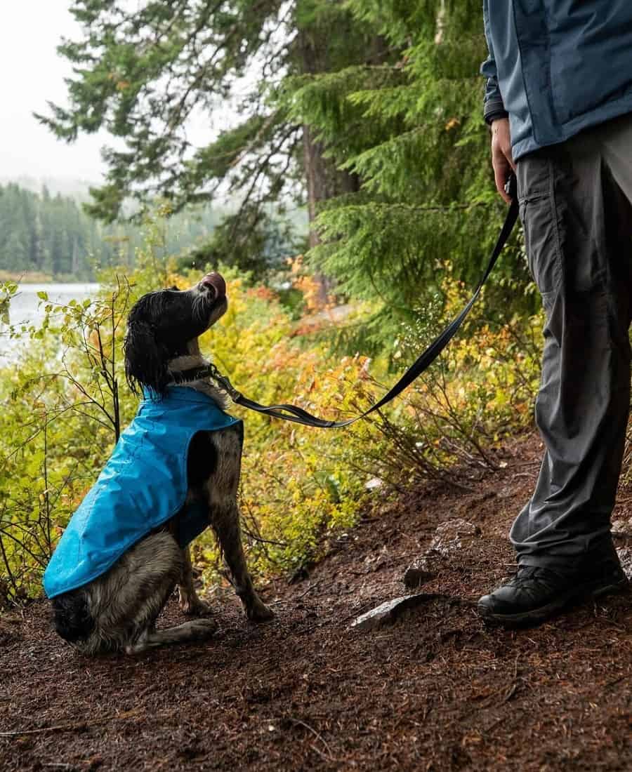 Waterproof rainy weather gear you need, Lifestyle News AsiaOne