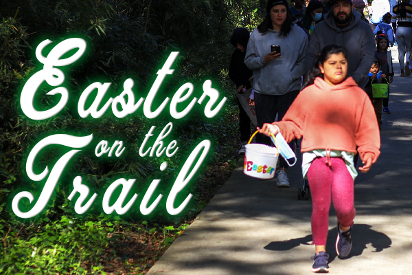 Events Happening In Covington, Ga In January 2023 Covington, Georgia | Official Website: Calendar