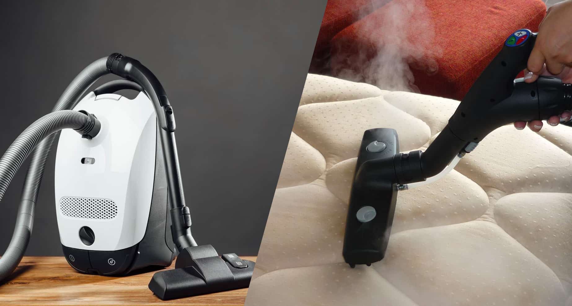 Best Bed Bug Steamers and Vacuums Reviews and Buyers Guide