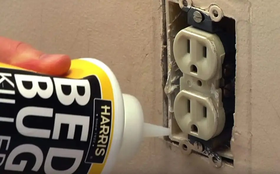 Best Bed Bug Powders & Silica Reviews 2024 Do they work?