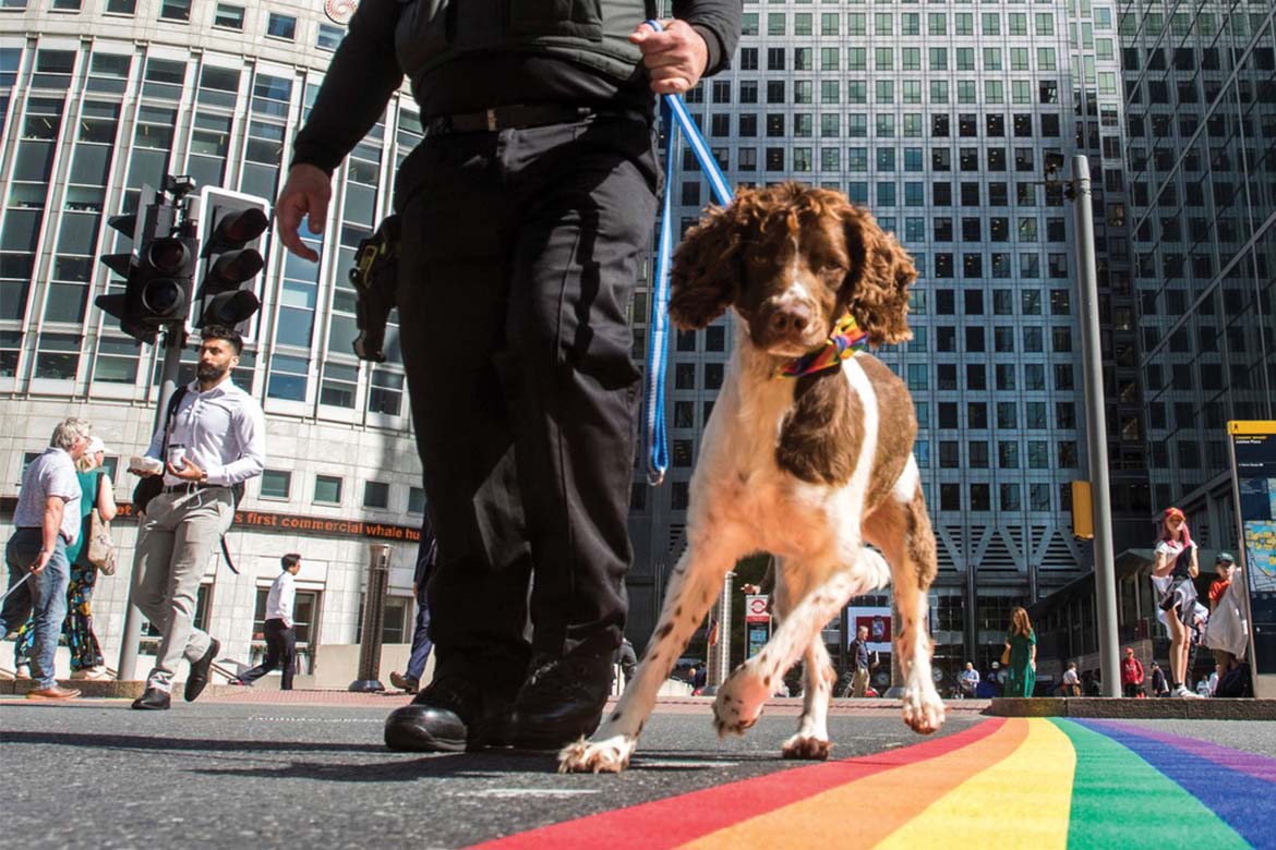 Security Dog explained City Security Magazine