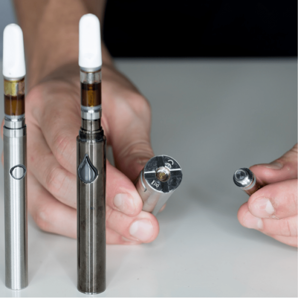 Conoce más sobre los dabpens Ciudad Cannabis