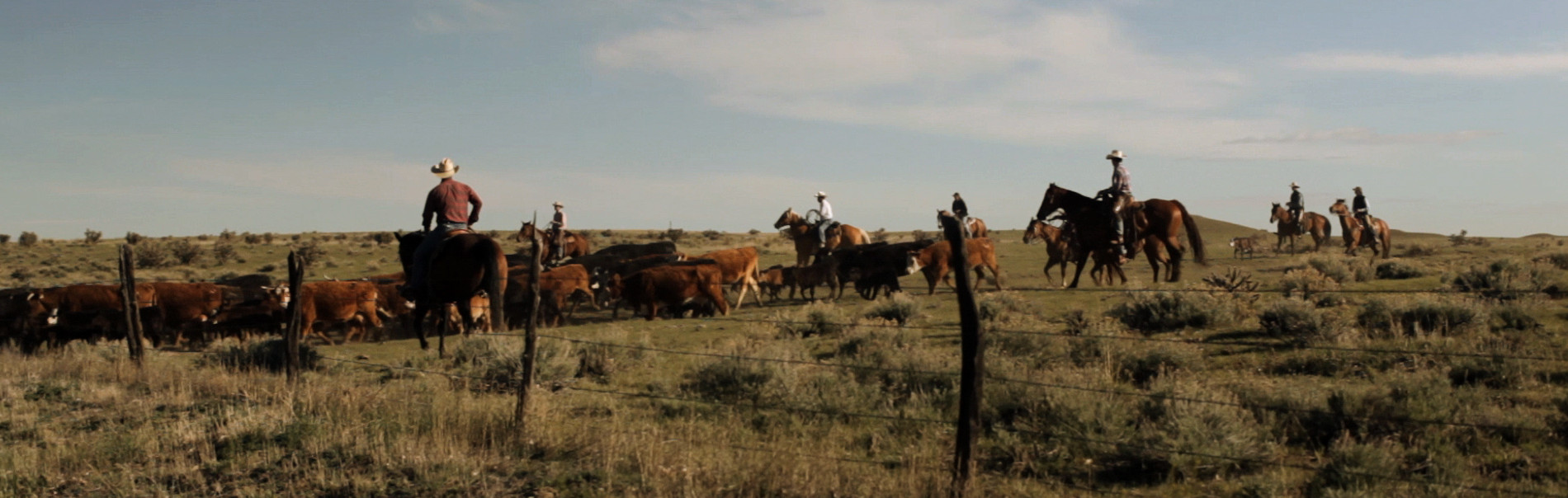 'Hanna Ranch' The EcoRancher Against the World Civil Eats