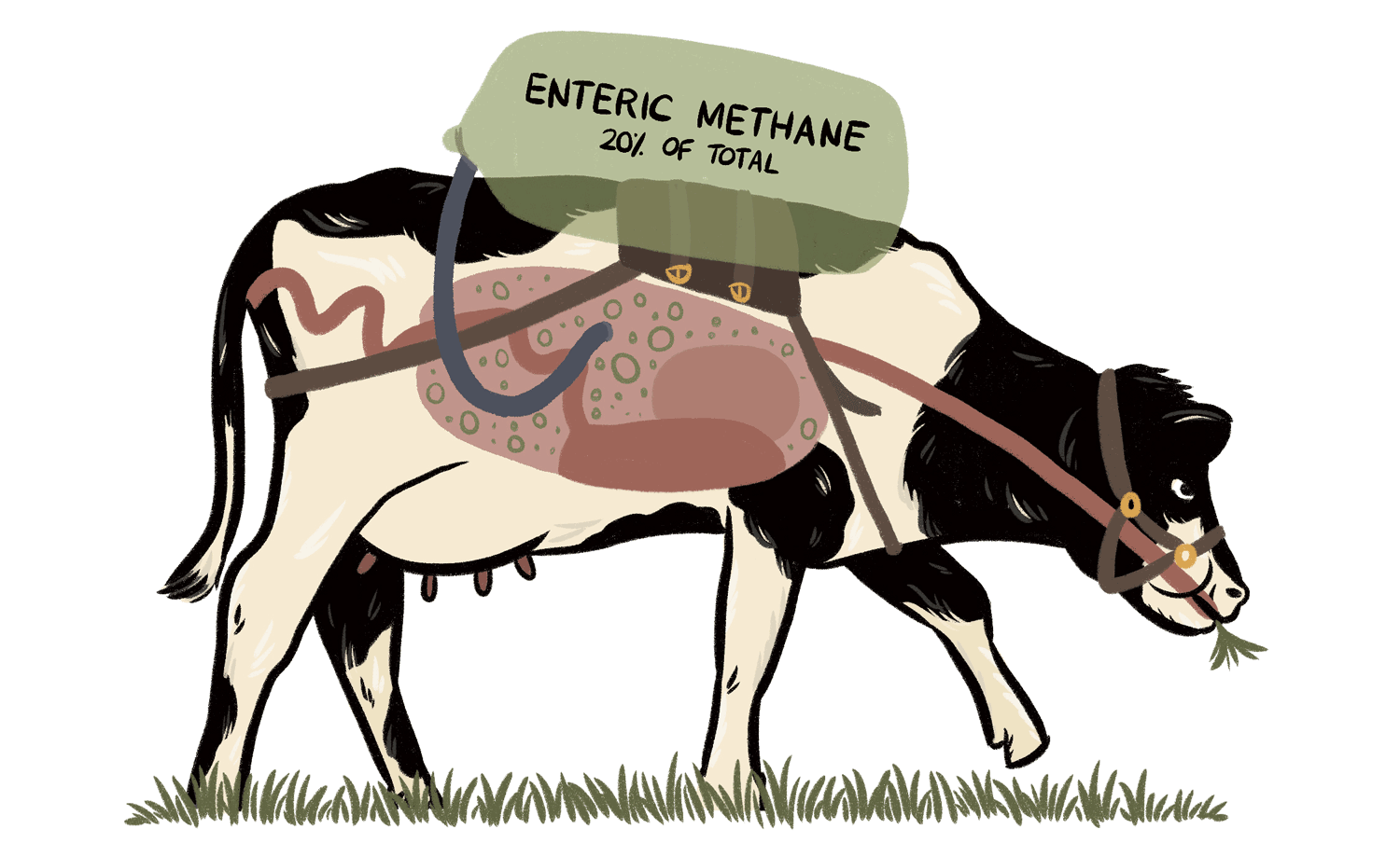 Wrangling the Climate Impact of California Dairy Civil Eats