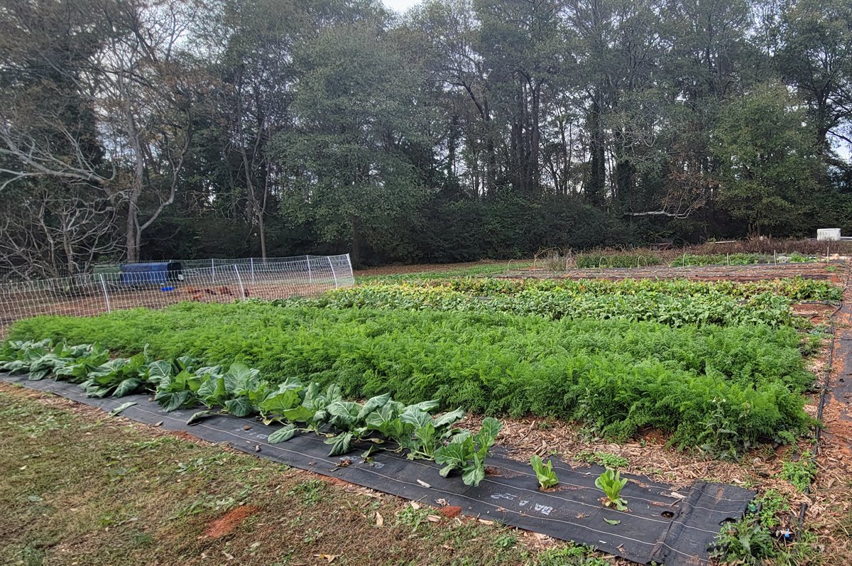Pathways to Land Access for BIPOC Farmers in Civil Eats
