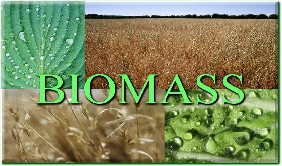 Biomass Key Advantages and Disadvantages