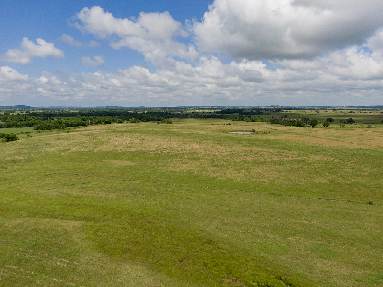 Chevalier0649 CJ Real Estate