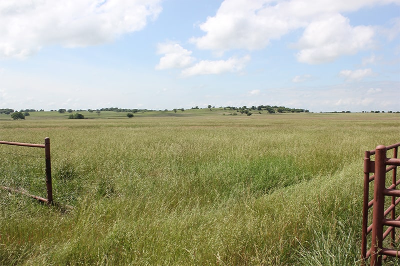 ChevalierParcel 2 CJ Real Estate