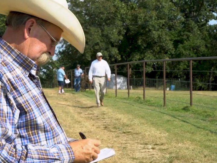 What is a Real Estate Auction? CJ Real Estate