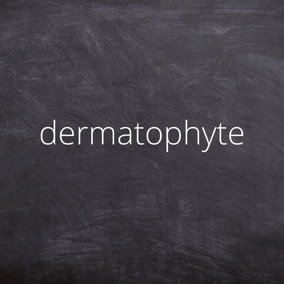 Tinea Pedis, Shoe Bacteria + Centre for Beauty