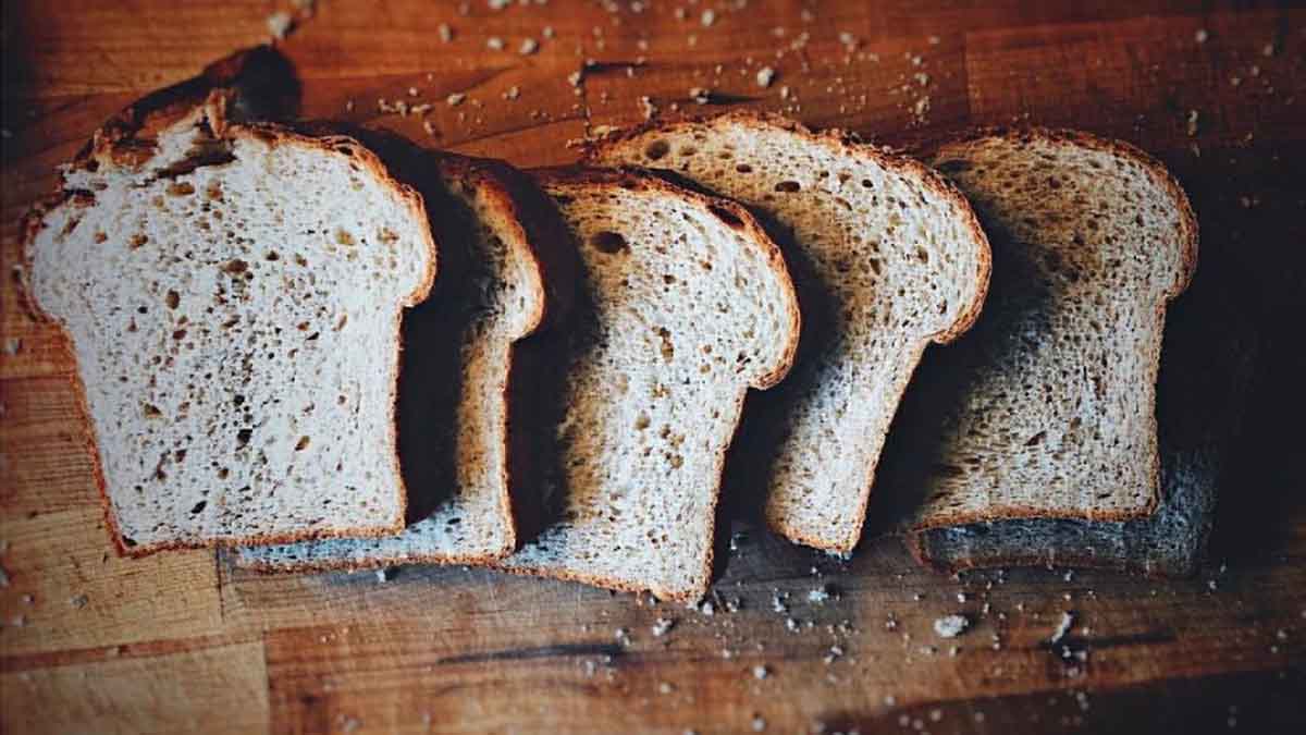 Man shall not live by bread alone CJSelvamani