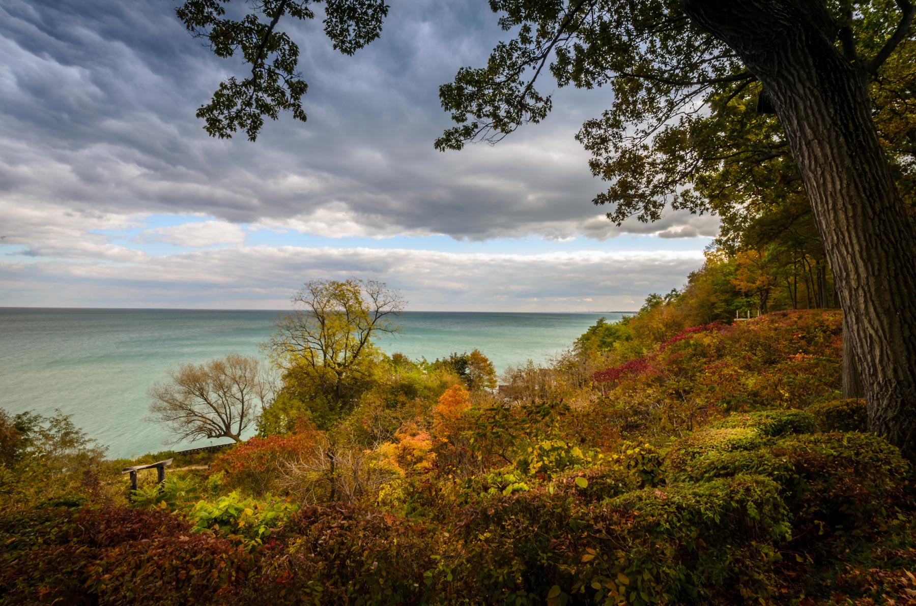 Crab Tree Farm Lake Bluff, Illinois Charles Stick Landscape