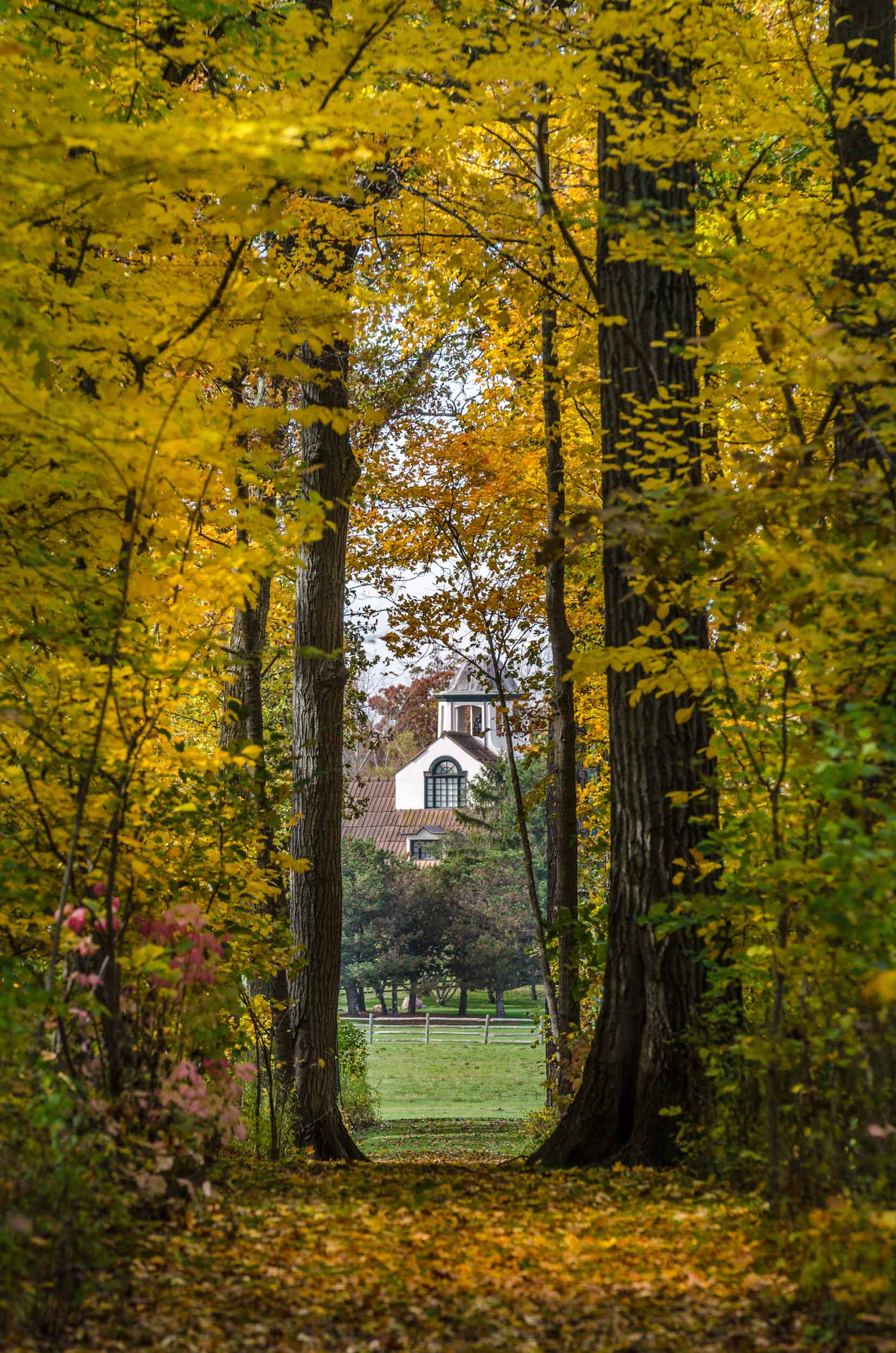 Crab Tree Farm Lake Bluff, Illinois Charles Stick Landscape