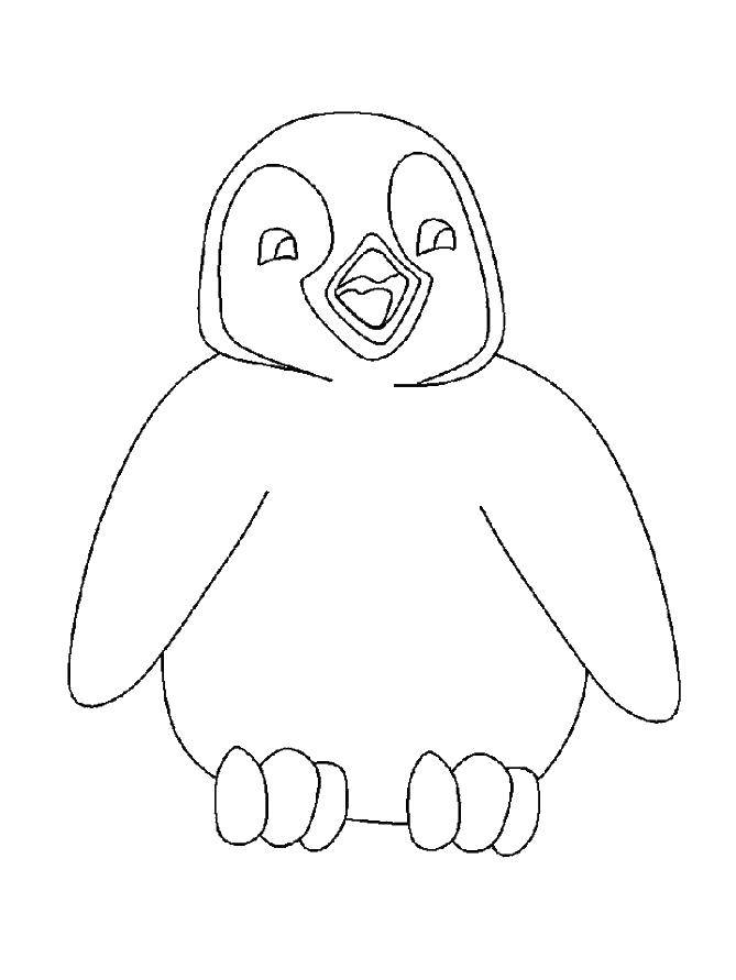 Online coloring pages Coloring page Penguin penguin, Download print