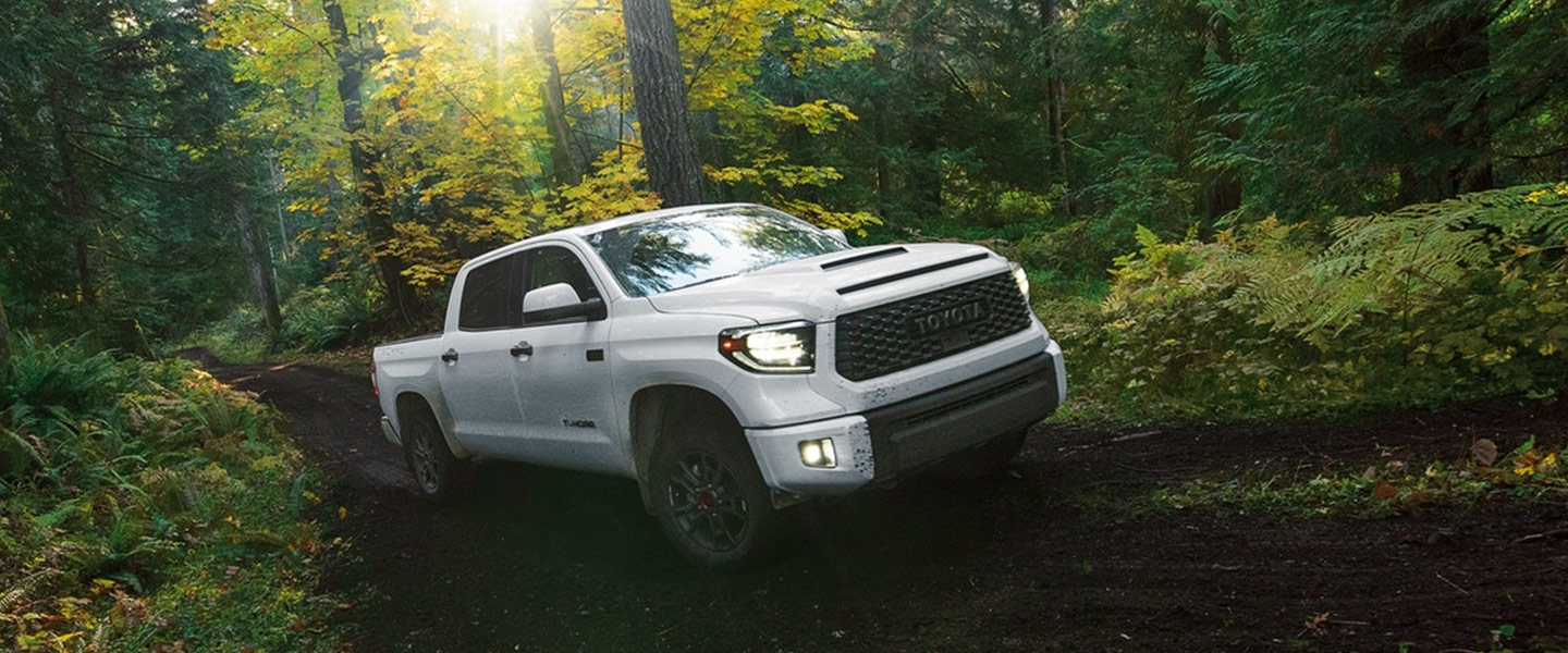 Schedule My Test Drive Rountree Moore Toyota