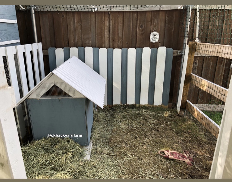 DIY Pig Pen CK Backyard Farm