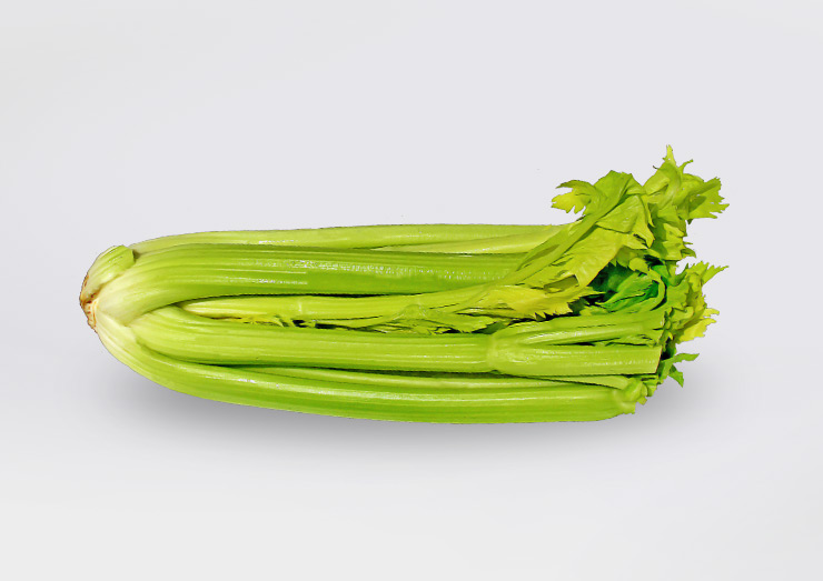 Treat Your Dog With These 11 Summer Veggies