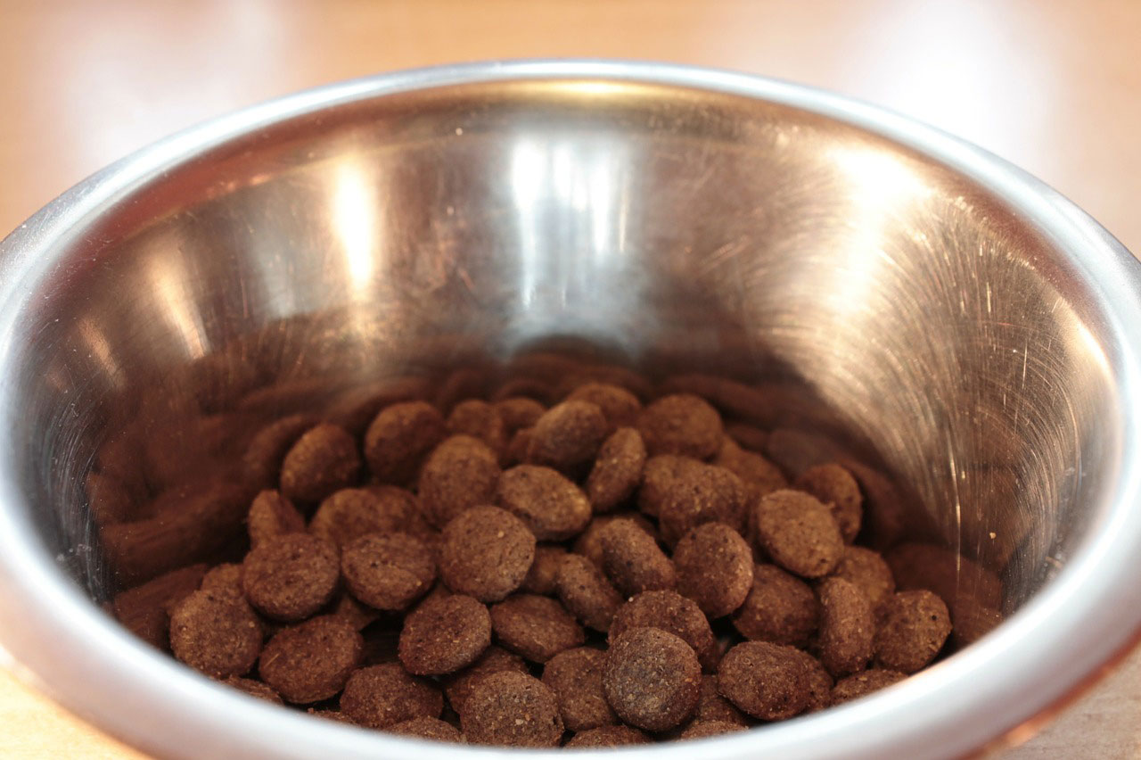 7 Effective Ways to Stop Your Dog from Eating Poop