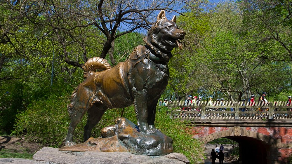Top 10 Dog Statues Around the World
