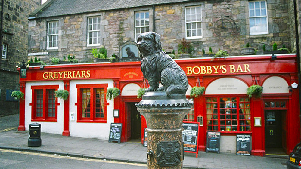 Top 10 Dog Statues Around the World