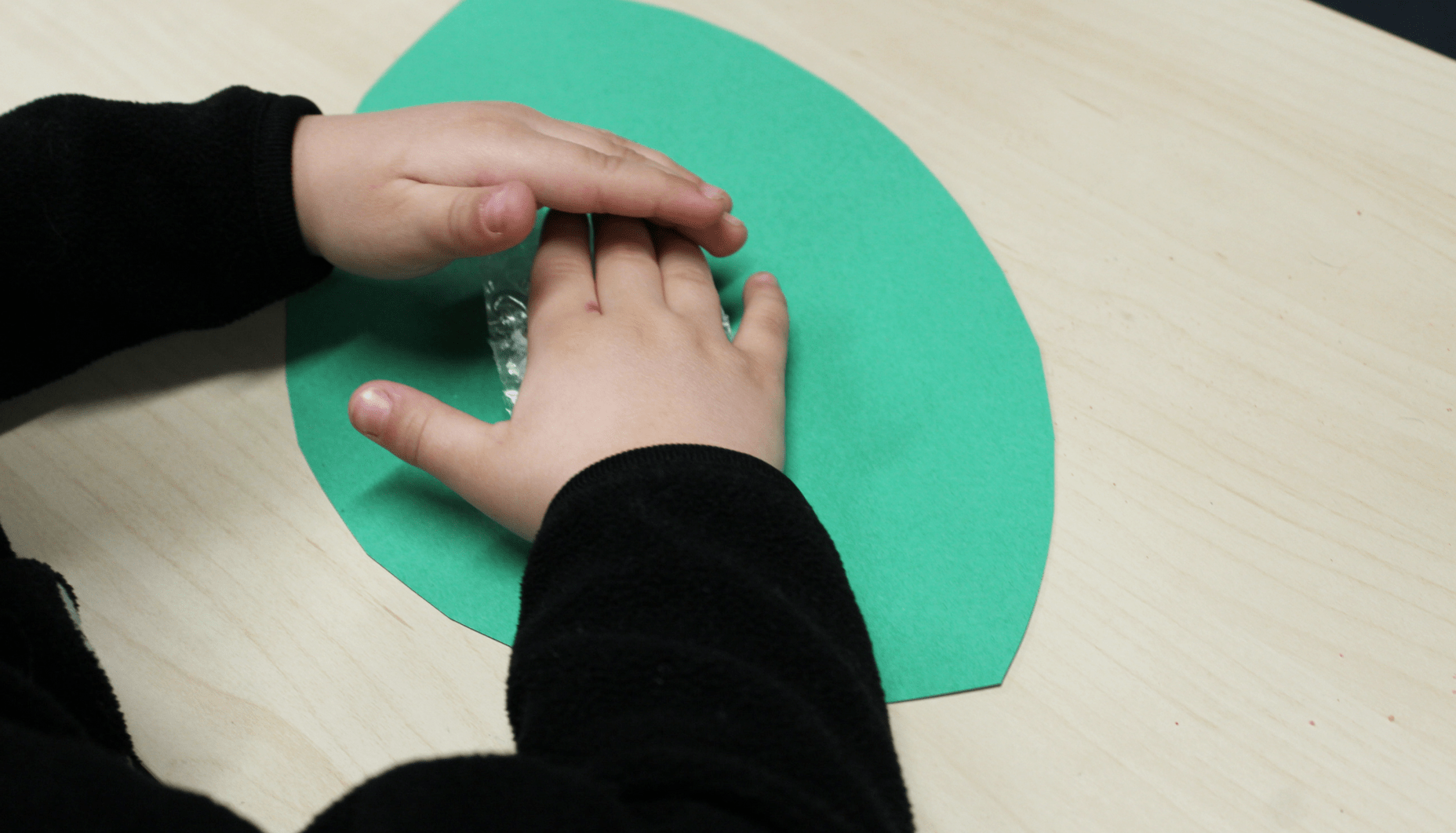 Butterfly Life Cycle Bulletin Board Fun365