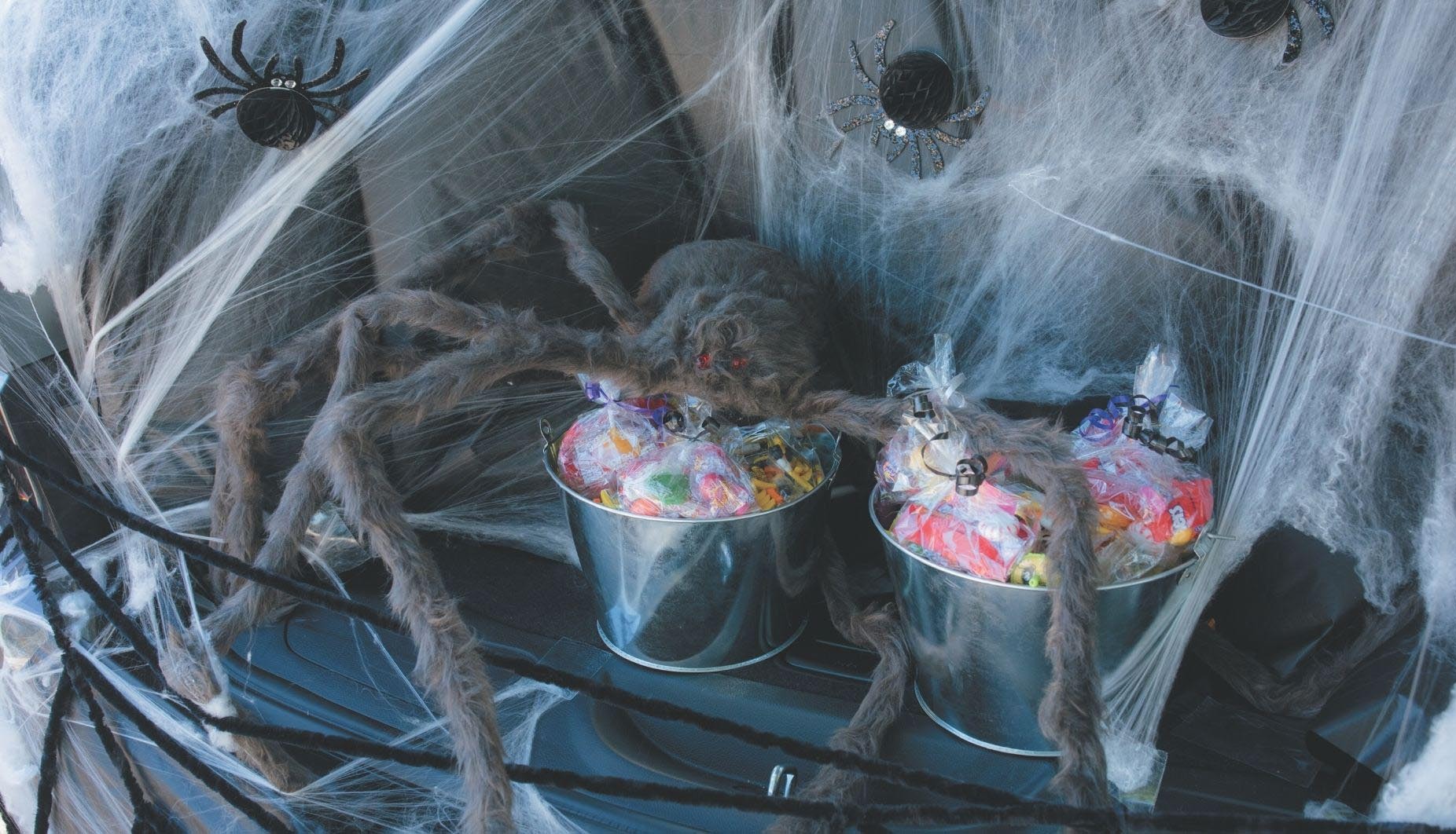 Spider Themed Trunk or Treat Idea Fun365