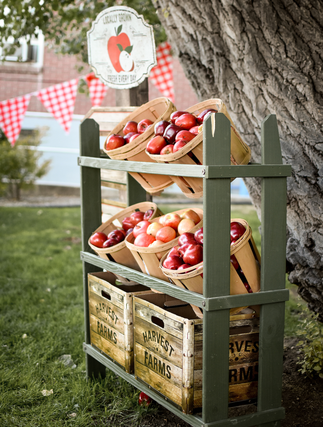 Apple Orchard Fall Birthday Party Fun365