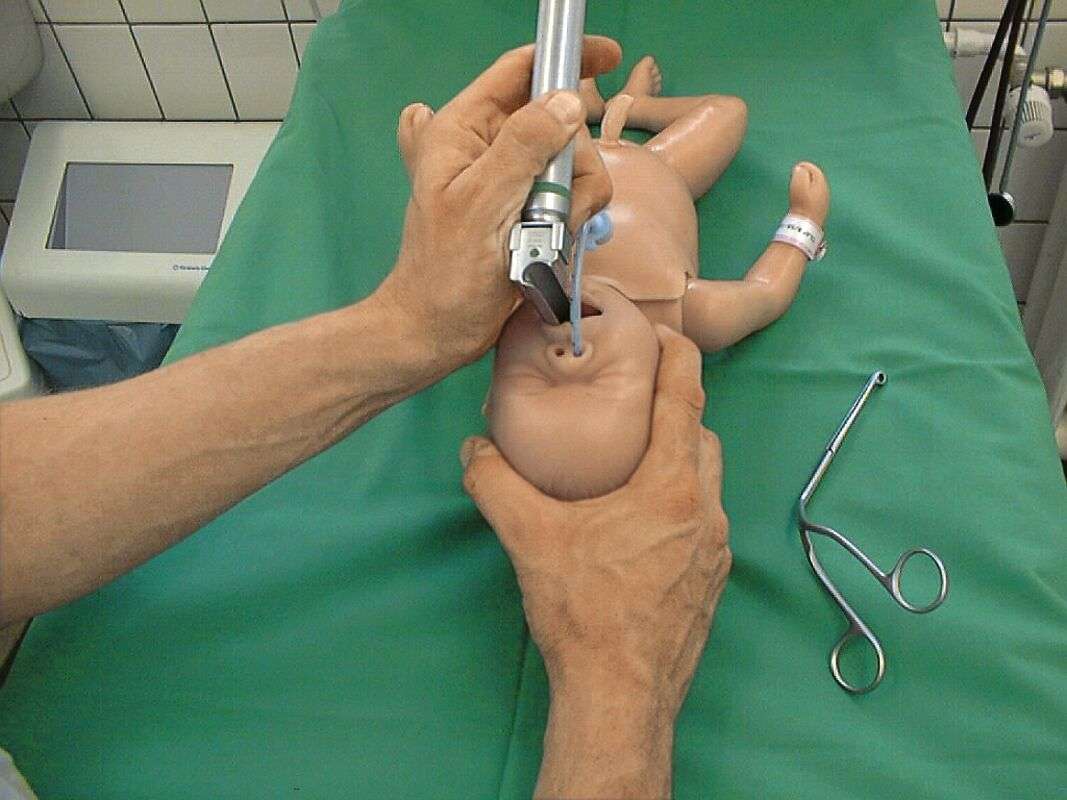 Intubationsphantom für Neugeborene Modelle Intubation