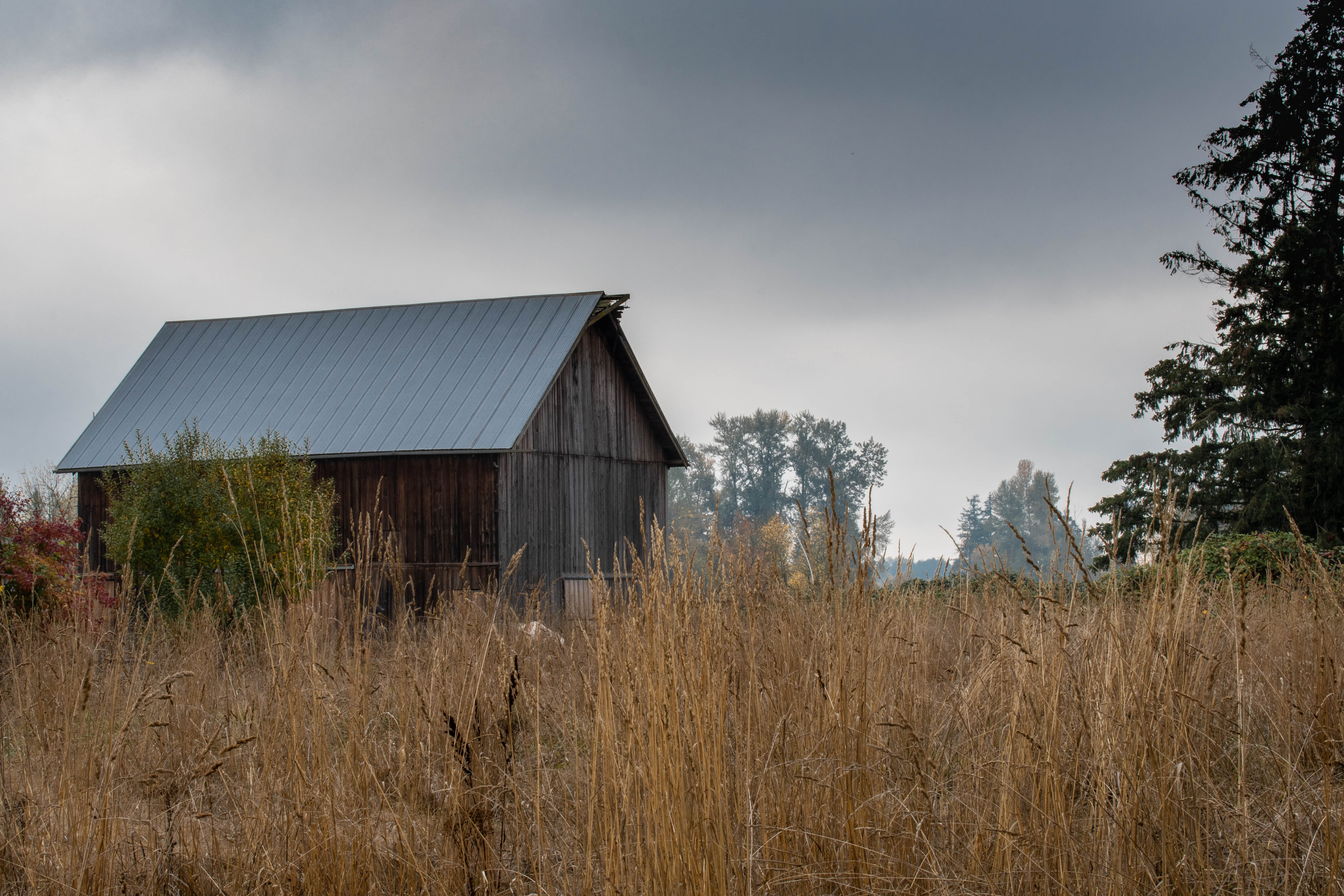Dworschak Farm Molalla Barns of Clackamas County
