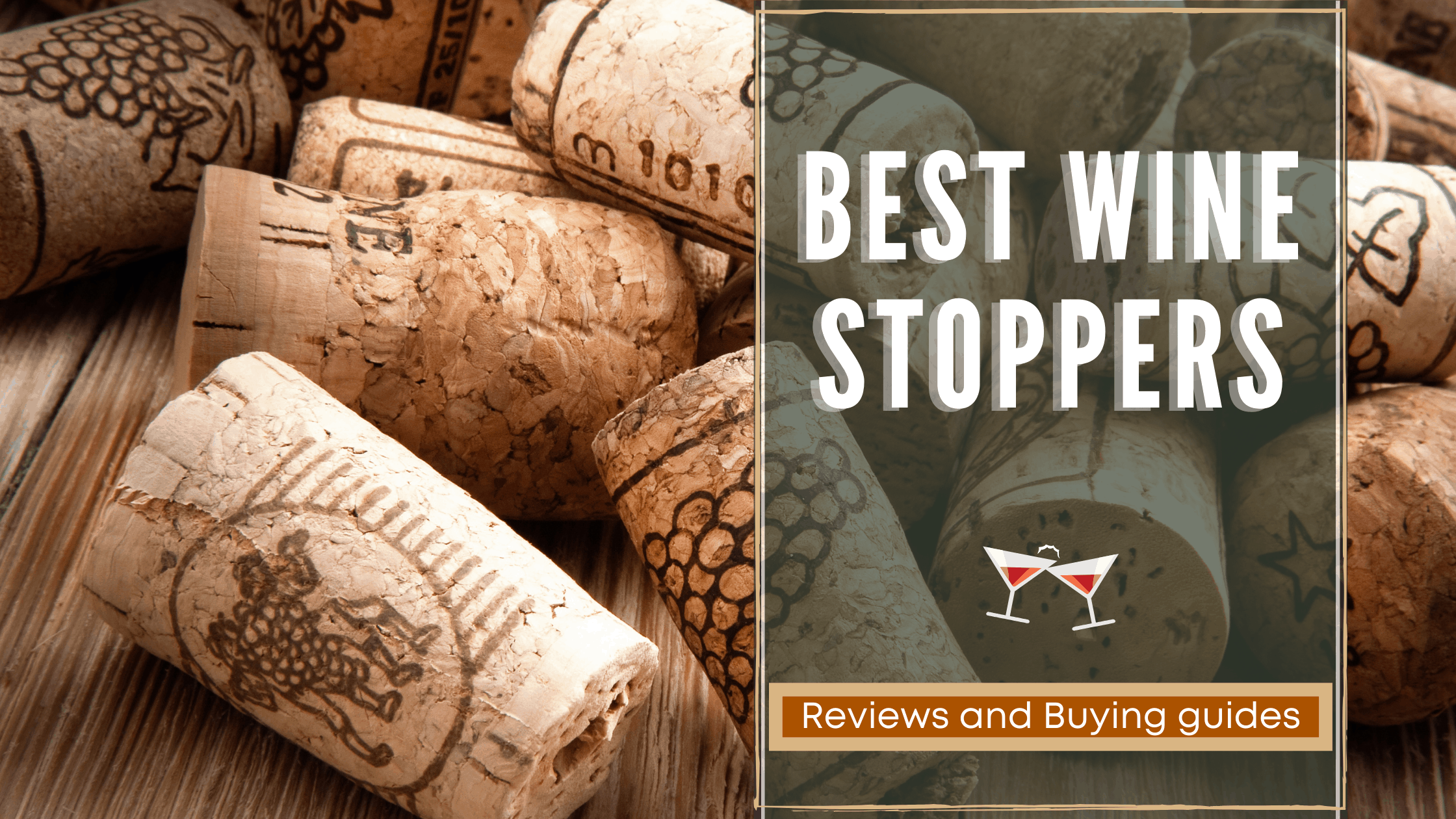 Top 15 Best Wine Stoppers Reviews 2020 RattlenHumBar