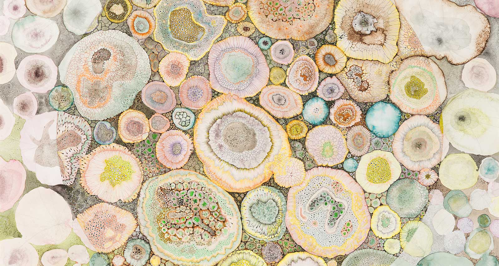 Nucleus works on paper by artist claire burbridge Claire Burbridge Art