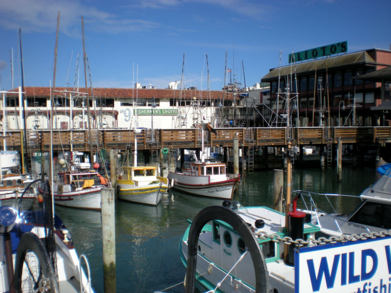 Queens Wharf Long Beach Fishing