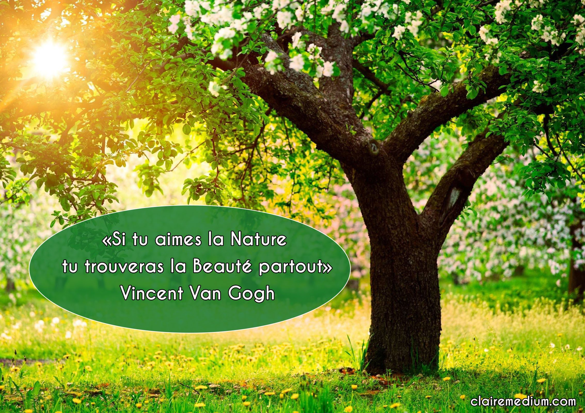 La citation du jour par Vincent Van Gogh Claire Thomas