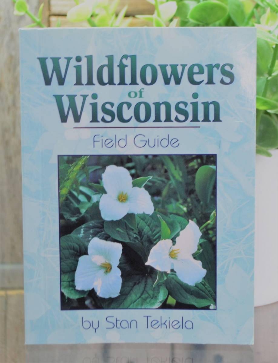 Wildflowers of Wisconsin Field Guide Clam Lake Junction