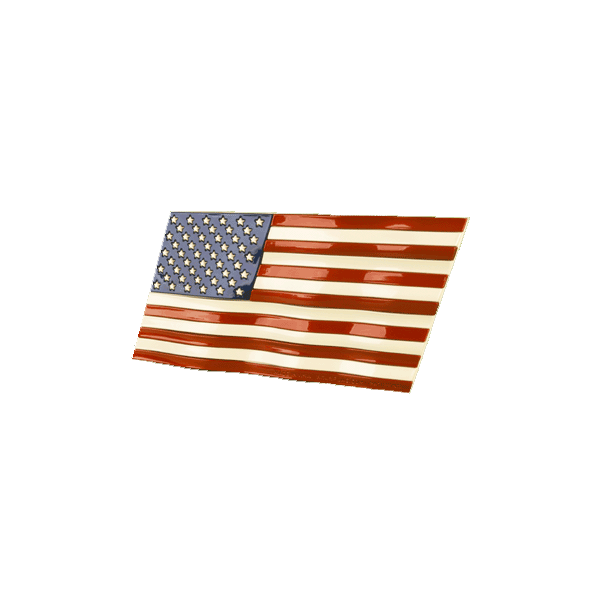3D US Flag