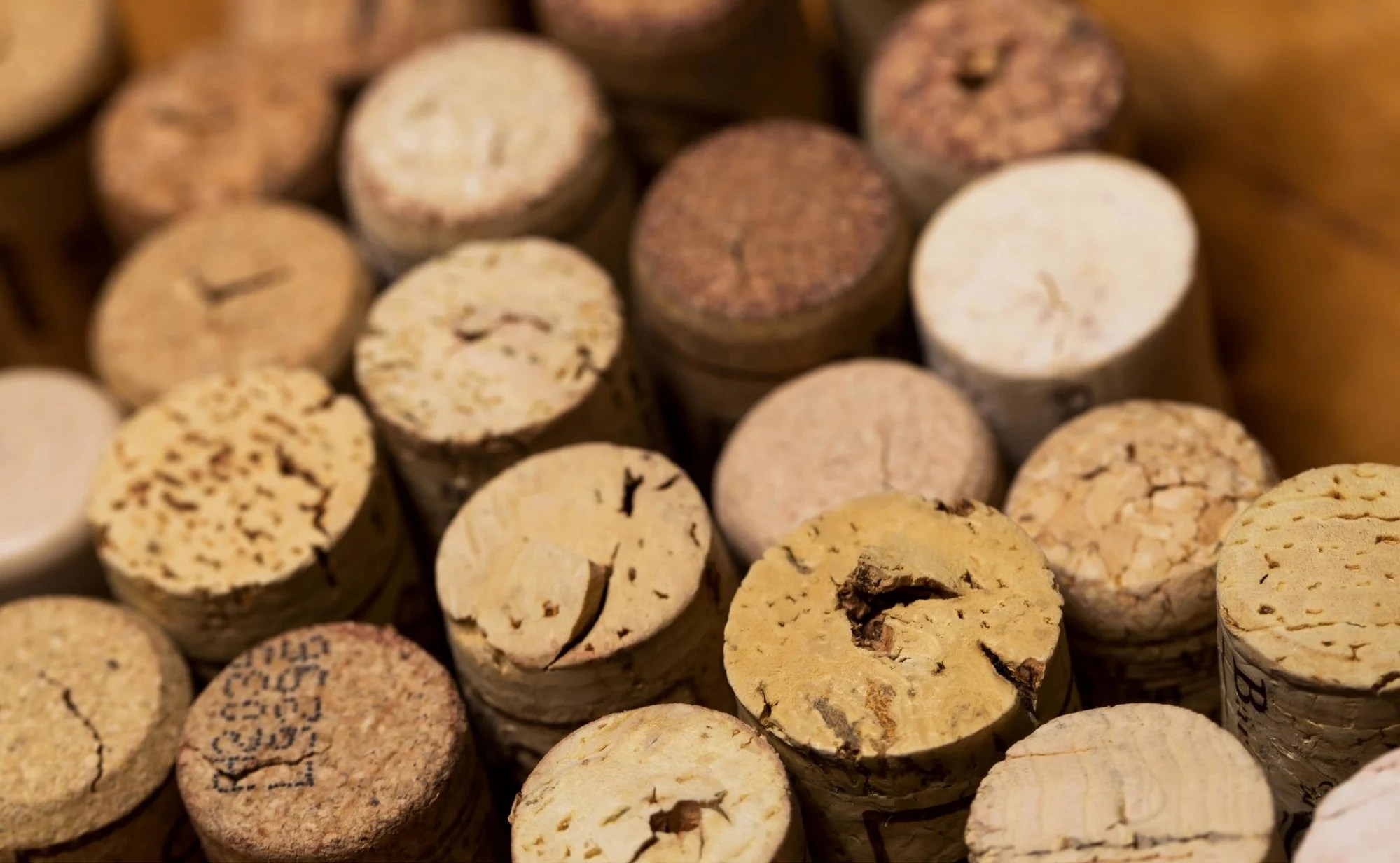 What is Cork Leather? A Vegan, Sustainable Alternative to Leather