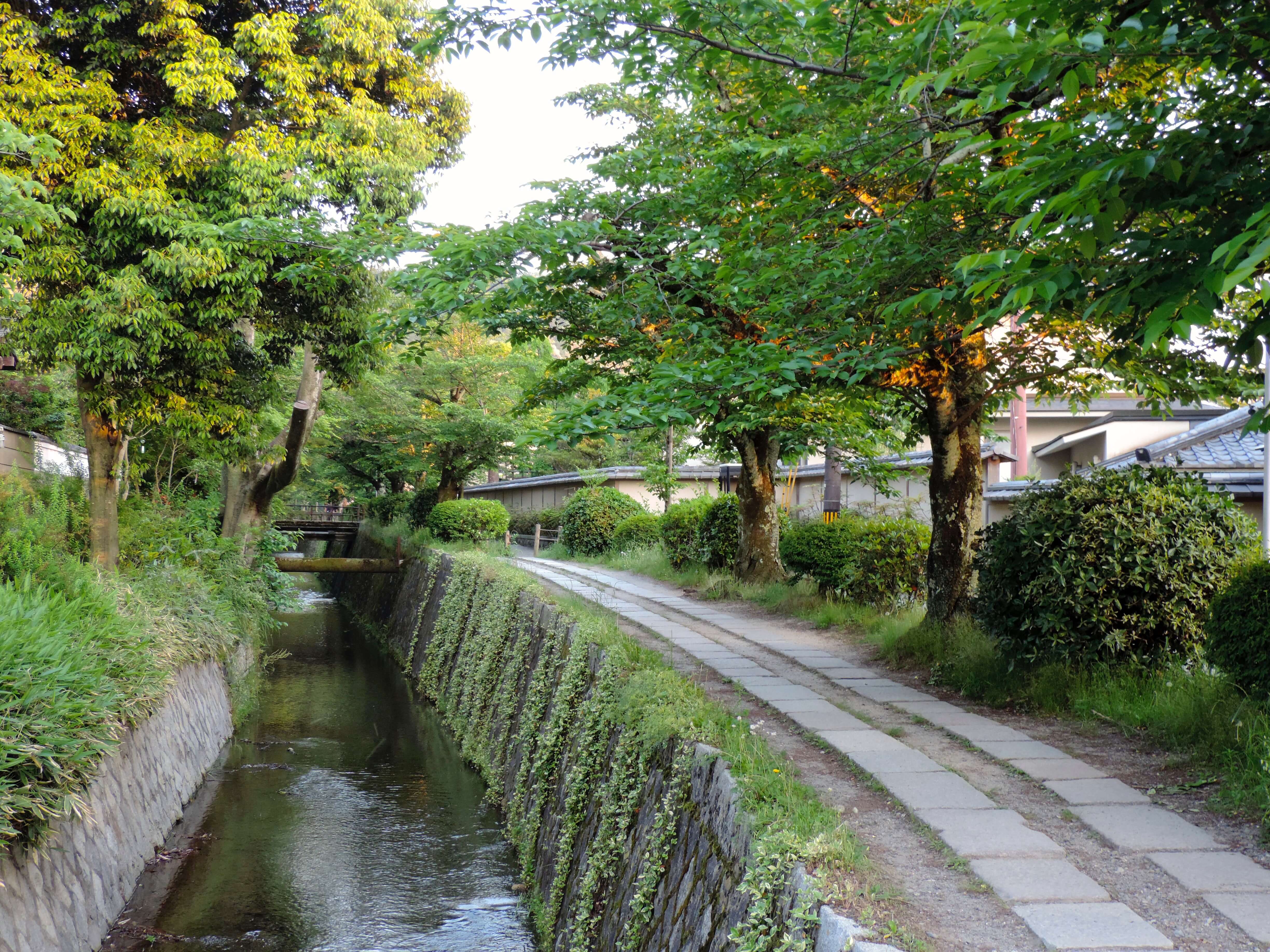 The Philosopher's Path in Kyoto, Japan - Clara’s Compass
