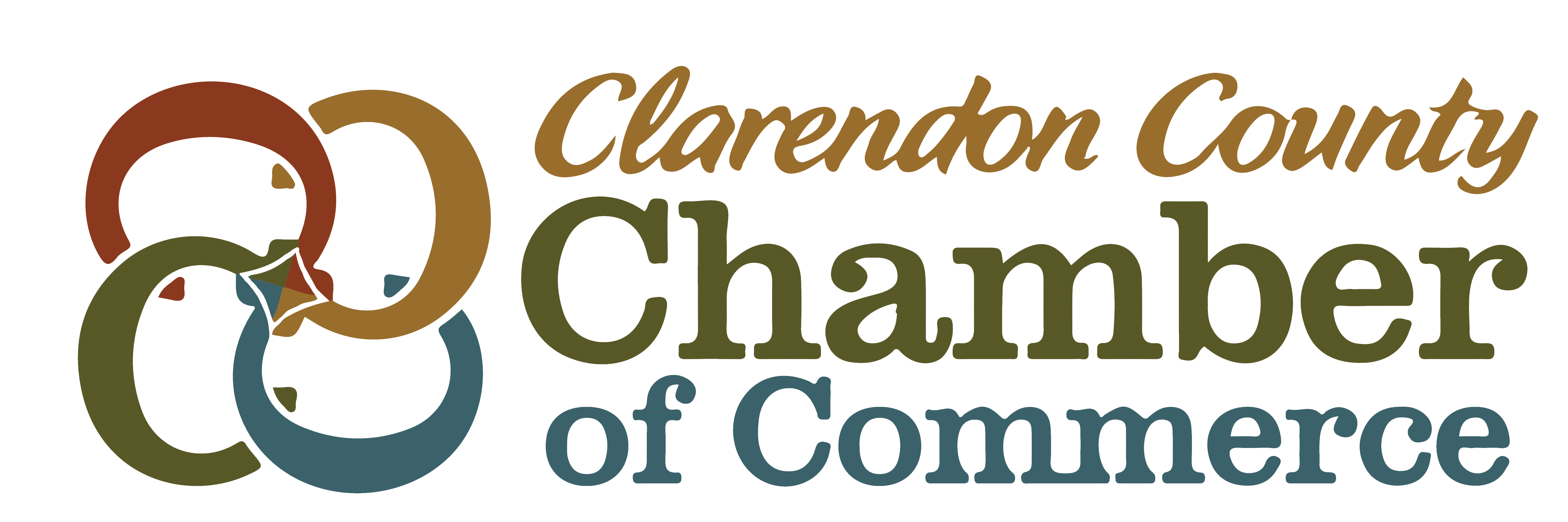 Bassmaster Opens Division 1 Event 2 Santee Cooper Lakes Clarendon