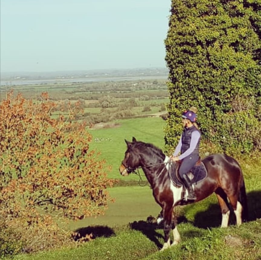 Trekking Clarina Equestrian Centre
