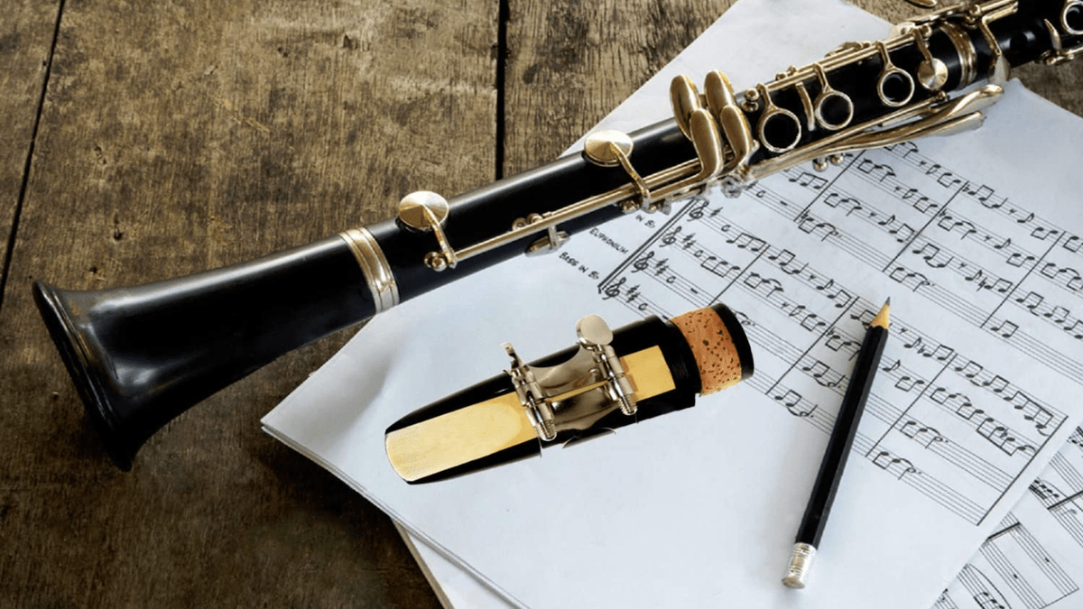 8 Best Professional Expert