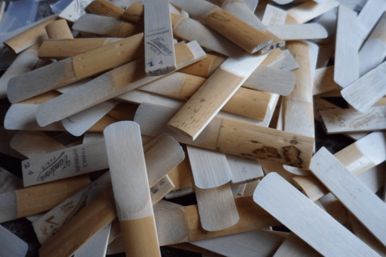 What size reed for beginners? Expert